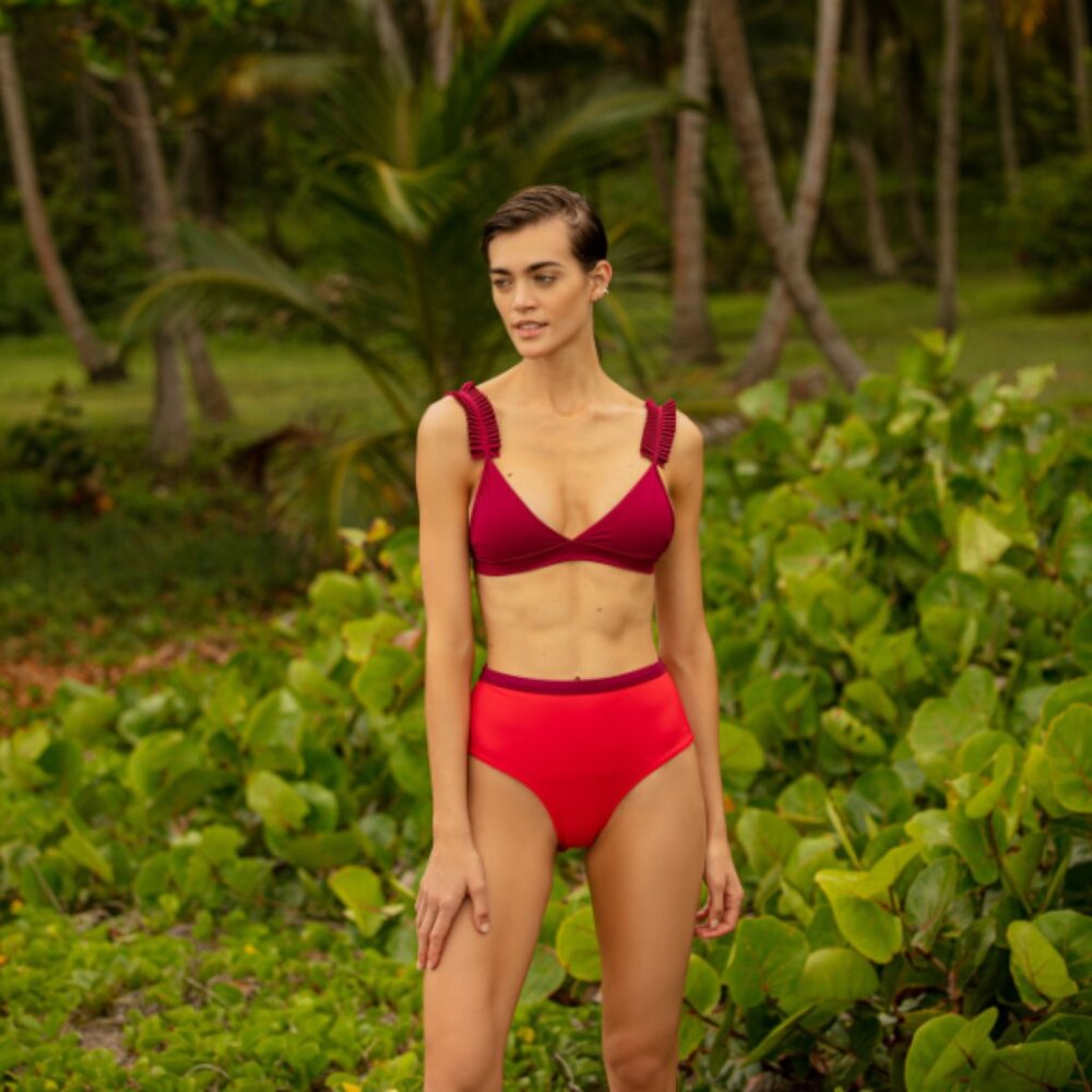NWT Bikini Bottom Ella Dragon Red